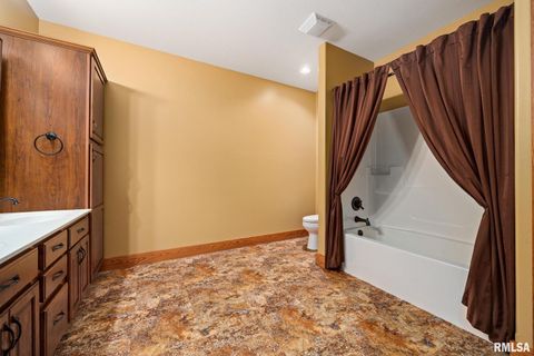 Tiny photo for 2988 N 400 East Road, Mclean, IL 61754 (MLS # 12647535)