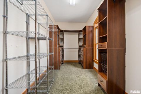 Tiny photo for 2988 N 400 East Road, Mclean, IL 61754 (MLS # 12647535)