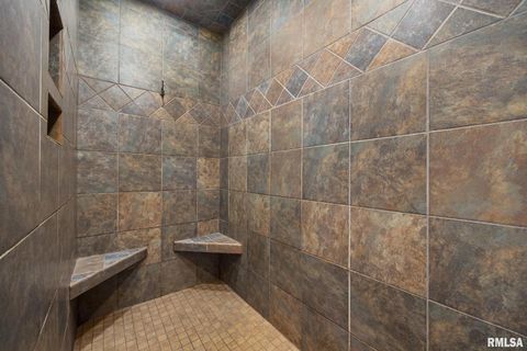 Tiny photo for 2988 N 400 East Road, Mclean, IL 61754 (MLS # 12647535)