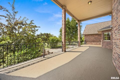 Tiny photo for 2988 N 400 East Road, Mclean, IL 61754 (MLS # 12647535)
