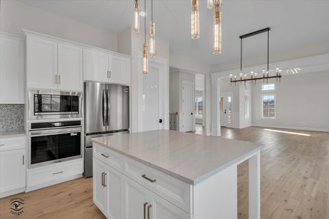 Tiny photo for 8850 Baileys Harbor Drive, Frankfort, IL 60423 (MLS # 12551966)