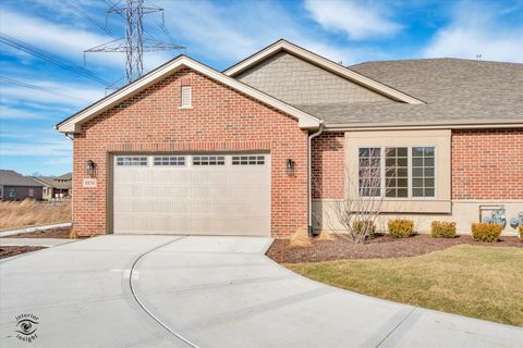 8850 Baileys Harbor Drive Frankfort IL 60423