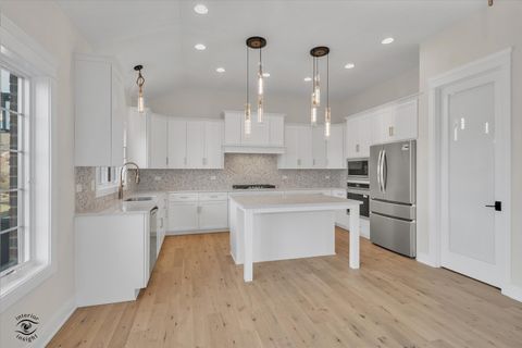 Tiny photo for 8850 Baileys Harbor Drive, Frankfort, IL 60423 (MLS # 12551966)