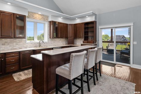 Tiny photo for 1335 N UTAH Avenue, Davenport, IA 52804 (MLS # 12623568)