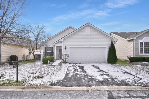 Photo of 729 S Mecosta Lane, Romeoville, IL 60446 (MLS # 12541355)