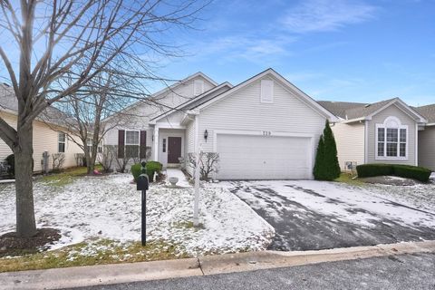 Tiny photo for 729 S Mecosta Lane, Romeoville, IL 60446 (MLS # 12541355)