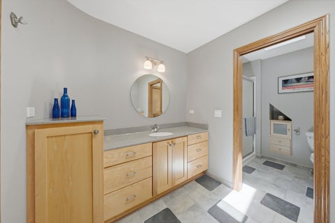 Tiny photo for 2939 E Water Tower Drive, Crete, IL 60417 (MLS # 12694286)