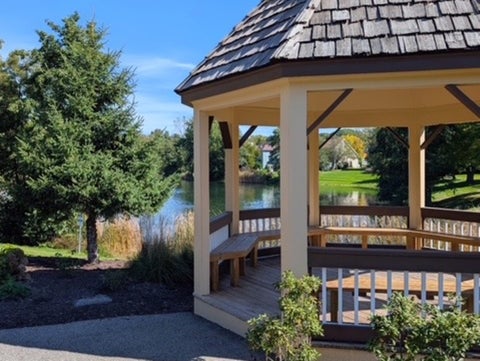 Tiny photo for 740 Hampton Course, West Chicago, IL 60185 (MLS # 12779202)