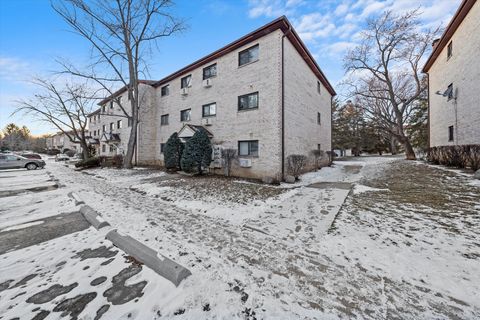 A home in Palatine