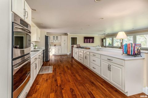 Tiny photo for 313 COUNTRY CLUB Lane, Harrisburg, IL 62946 (MLS # QC4268592)