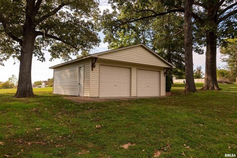 Tiny photo for 313 COUNTRY CLUB Lane, Harrisburg, IL 62946 (MLS # QC4268592)
