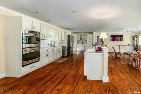 Tiny photo for 313 COUNTRY CLUB Lane, Harrisburg, IL 62946 (MLS # QC4268592)