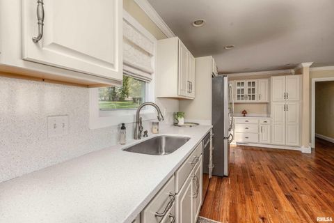 Tiny photo for 313 COUNTRY CLUB Lane, Harrisburg, IL 62946 (MLS # QC4268592)