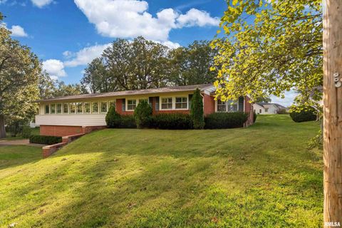 Tiny photo for 313 COUNTRY CLUB Lane, Harrisburg, IL 62946 (MLS # QC4268592)