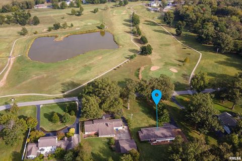 Tiny photo for 313 COUNTRY CLUB Lane, Harrisburg, IL 62946 (MLS # QC4268592)