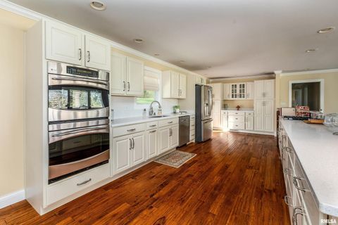 Tiny photo for 313 COUNTRY CLUB Lane, Harrisburg, IL 62946 (MLS # QC4268592)