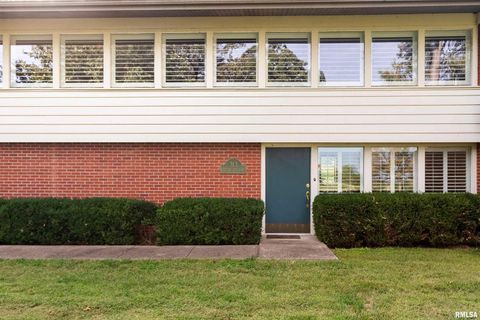 Tiny photo for 313 COUNTRY CLUB Lane, Harrisburg, IL 62946 (MLS # QC4268592)