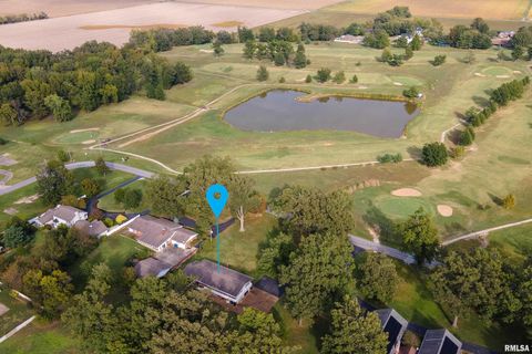 Tiny photo for 313 COUNTRY CLUB Lane, Harrisburg, IL 62946 (MLS # QC4268592)