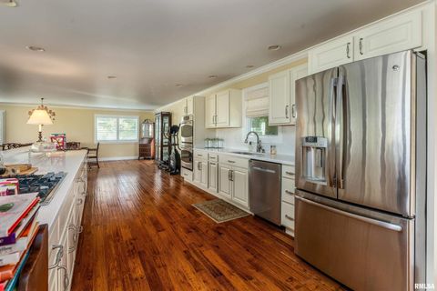 Tiny photo for 313 COUNTRY CLUB Lane, Harrisburg, IL 62946 (MLS # QC4268592)