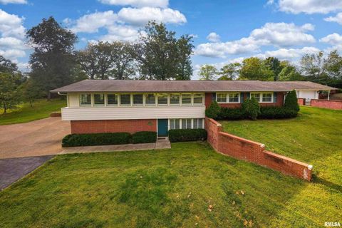 Tiny photo for 313 COUNTRY CLUB Lane, Harrisburg, IL 62946 (MLS # QC4268592)