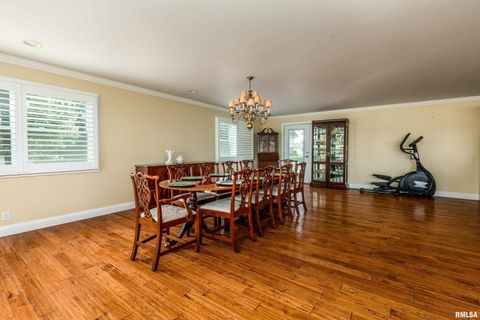 Tiny photo for 313 COUNTRY CLUB Lane, Harrisburg, IL 62946 (MLS # QC4268592)