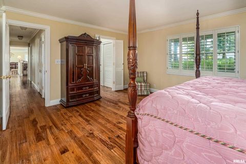 Tiny photo for 313 COUNTRY CLUB Lane, Harrisburg, IL 62946 (MLS # QC4268592)