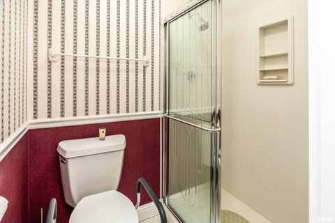 Tiny photo for 313 COUNTRY CLUB Lane, Harrisburg, IL 62946 (MLS # QC4268592)