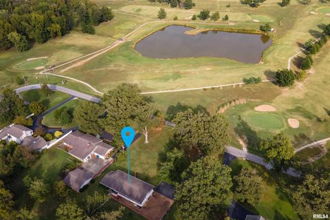 Tiny photo for 313 COUNTRY CLUB Lane, Harrisburg, IL 62946 (MLS # QC4268592)