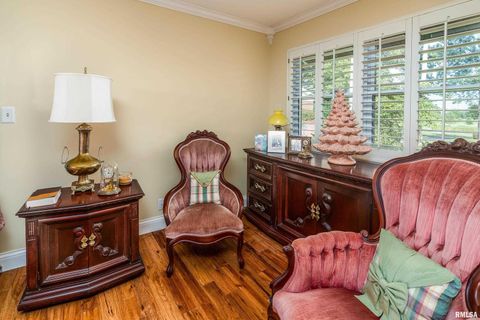 Tiny photo for 313 COUNTRY CLUB Lane, Harrisburg, IL 62946 (MLS # QC4268592)