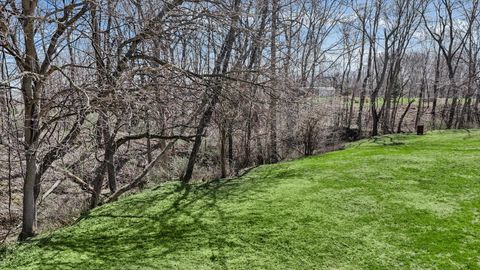 Tiny photo for 19263 N 1370 East Road, Danville, IL 61834 (MLS # 12597462)