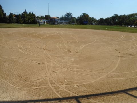 Tiny photo for Bloomingdale, IL 60108 (MLS # 12498527)