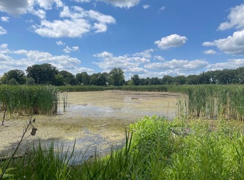 Tiny photo for 14 N LAKE Avenue, Third Lake, IL 60030 (MLS # 12541288)