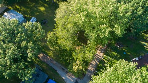 28334 Fir Lane Wilmington IL 60481
