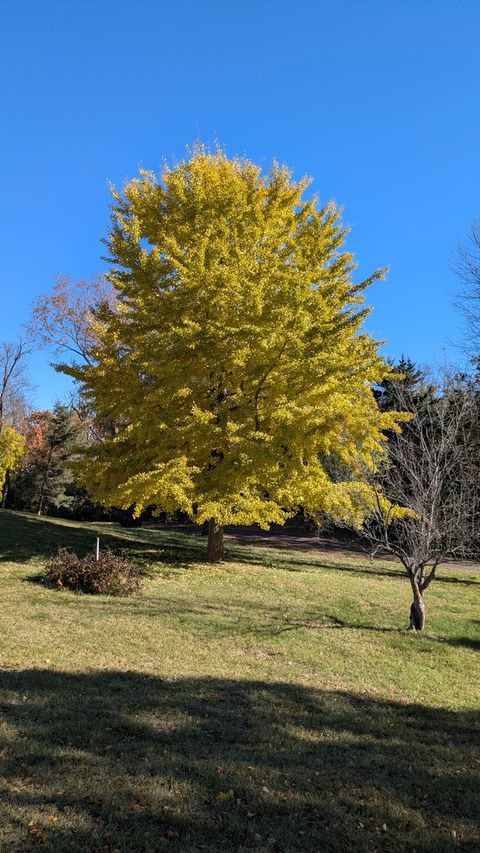 Tiny photo for 674 Plum Tree Road, Barrington Hills, IL 60010 (MLS # 12607289)