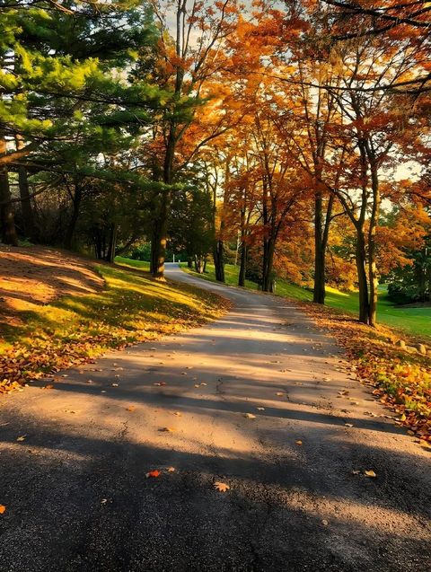 Tiny photo for 674 Plum Tree Road, Barrington Hills, IL 60010 (MLS # 12607289)