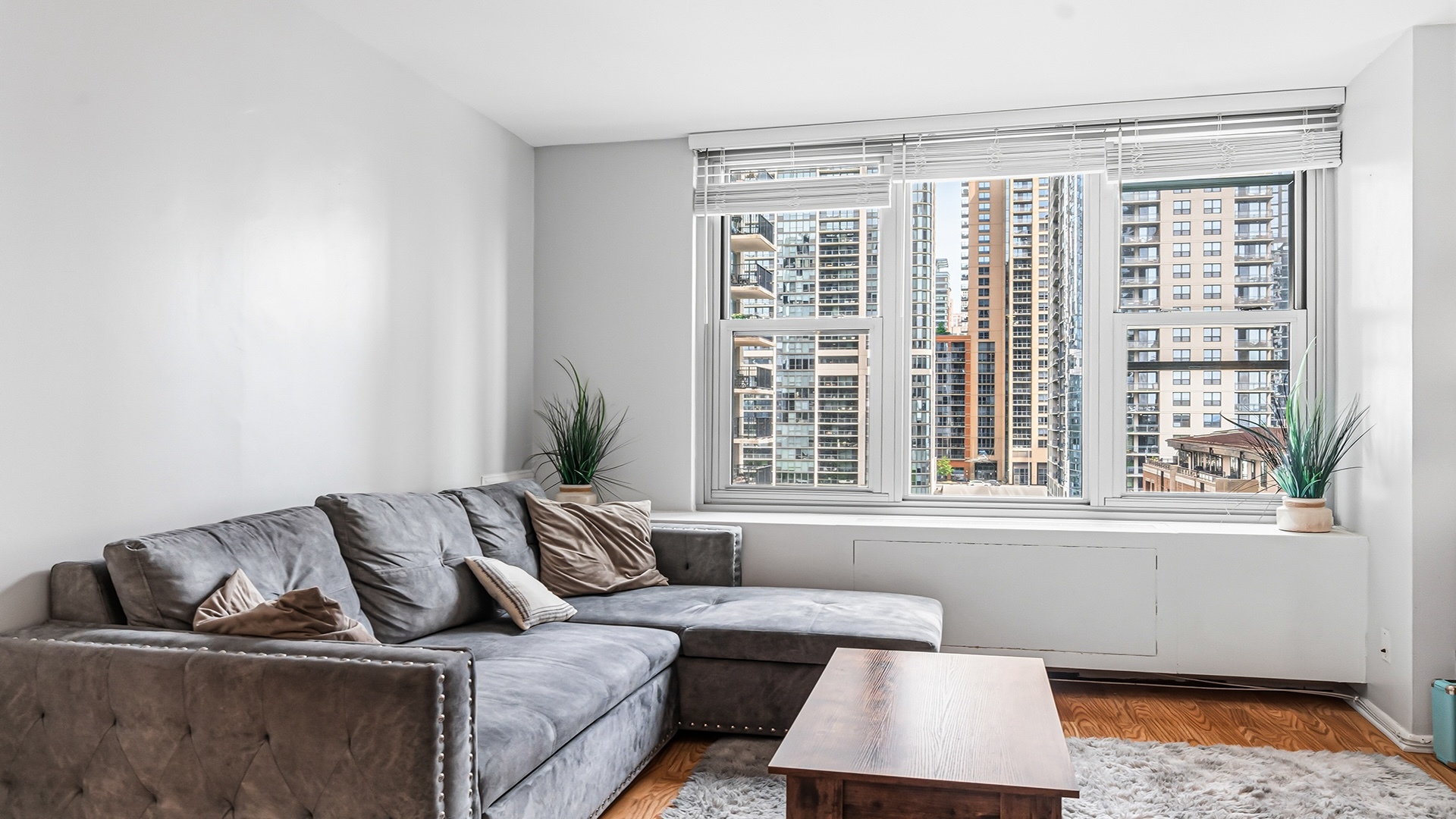 400 E Randolph Street 1104