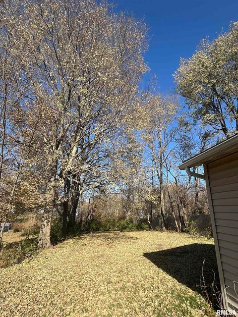 Tiny photo for 328 E PROSPECT Street, Kewanee, IL 61443 (MLS # QC4269411)