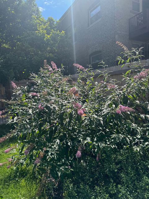 Tiny photo for 9604 S Hamilton Avenue, Chicago, IL 60643 (MLS # 12547523)