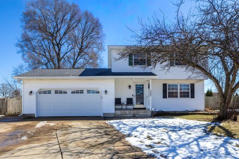 Photo of 322 Sullivan Drive, Colona, IL 61241 (MLS # 12597010)