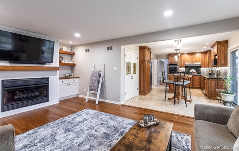 Tiny photo for 12251 Partridge Lane, Orland Park, IL 60467 (MLS # 12602589)