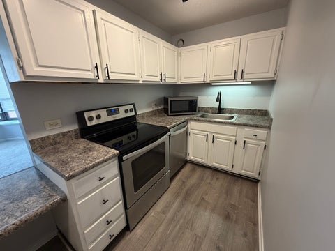Tiny photo for 899 S Plymouth Court #502, Chicago, IL 60605 (MLS # 12623477)