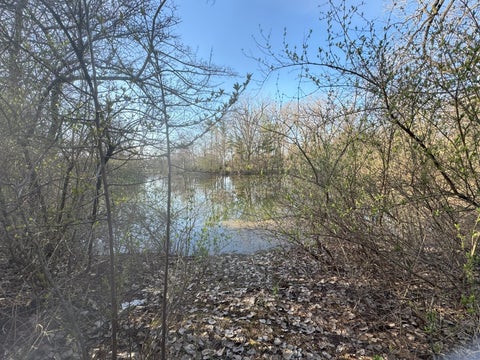 Tiny photo for Hampshire, IL 60140 (MLS # 12769618)