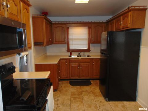 Tiny photo for 936 N 22ND Street, Murphysboro, IL 62966 (MLS # EB460459)