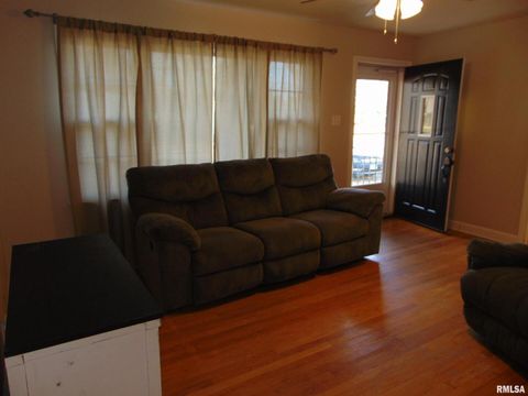 Tiny photo for 936 N 22ND Street, Murphysboro, IL 62966 (MLS # EB460459)