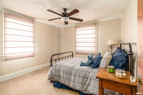 Tiny photo for 311 W POPLAR Street, Harrisburg, IL 62946 (MLS # QC4269298)