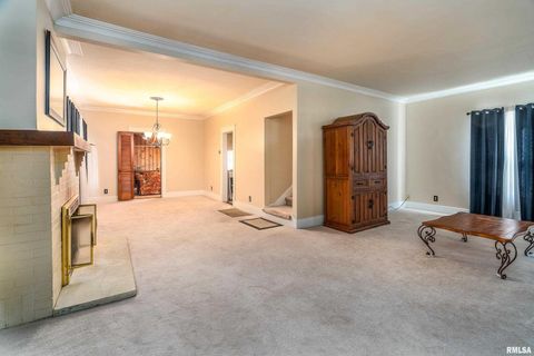 Tiny photo for 311 W POPLAR Street, Harrisburg, IL 62946 (MLS # QC4269298)