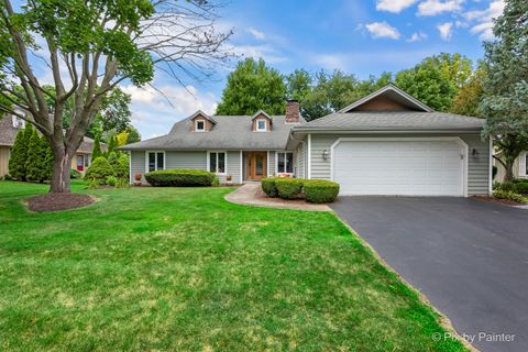 Photo of 1131 CANDLENUT Drive, Naperville, IL 60540 (MLS # 12420106)