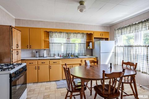 Tiny photo for 840 Highway 145 S, Harrisburg, IL 62946 (MLS # QC4267102)