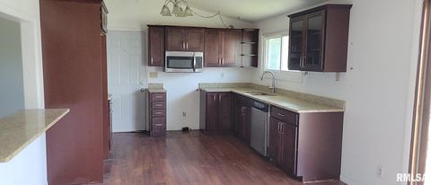 Tiny photo for 408 TERRACE Drive, Wheatland, IA 52777 (MLS # QC4268662)