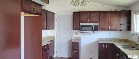 Tiny photo for 408 TERRACE Drive, Wheatland, IA 52777 (MLS # QC4268662)